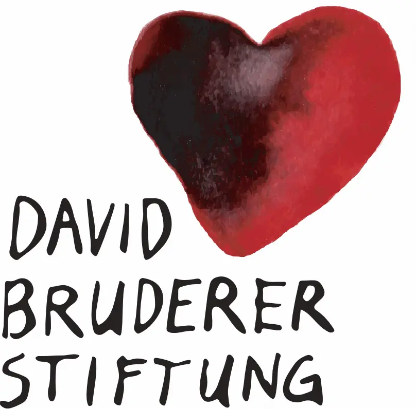 david-briderer-stiftung-logo