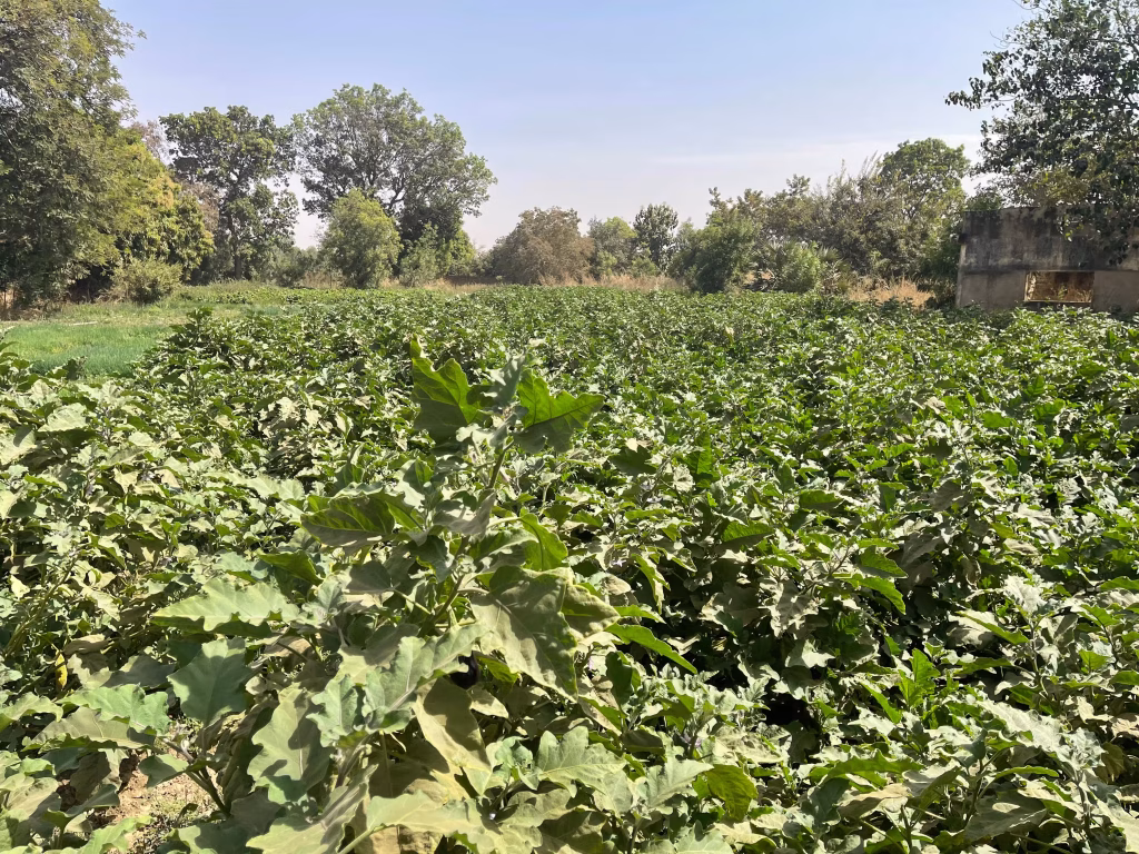 umweltwirkung-remar-burkina-faso